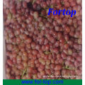 Fresh Red Globe Grape in Cartons